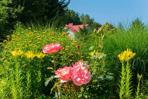 高绿草背景下粉红色玫瑰和黄百合的组成 — 图库照片