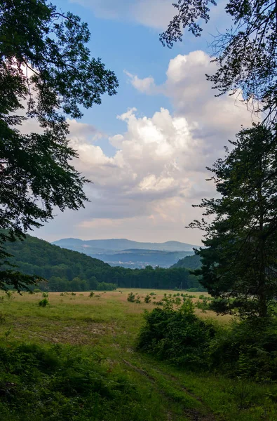 Cumulus bulutları, güzel dağ orman yatay — Stok fotoğraf