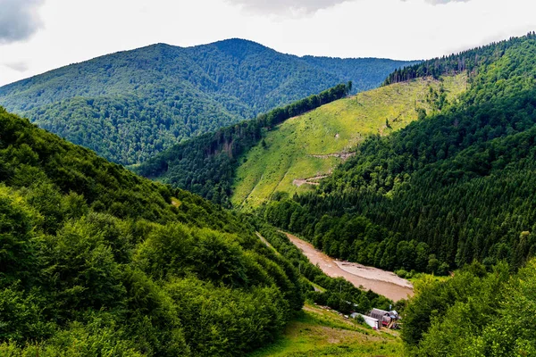 Altas montañas cubiertas de árboles verdes de coníferas. Entre ellos fluye el río —  Fotos de Stock