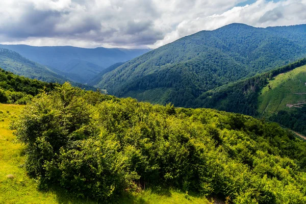 Ein weites Gebirgstal mit einer riesigen Anzahl grüner Sträucher und Nadelbäume inmitten einer bewölkten, nicht... — Stockfoto