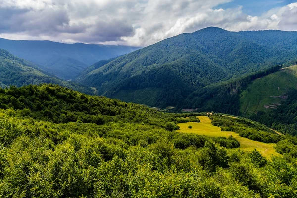 Una pintoresca vista de un acogedor claro bosque en una colina cerca de un enorme valle verde de la montaña —  Fotos de Stock