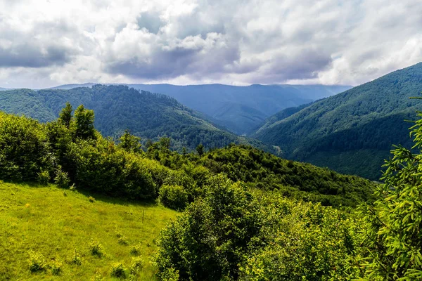 Mächtiger und unberührter Bergwald und eine kleine Wiese mit Wolken, die ruhig und gleichmäßig über ihnen schweben — Stockfoto