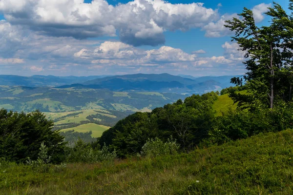 Descida de uma colina alta em um vale verde entre moitas de árvores — Fotografia de Stock