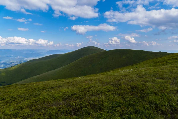 Largo verde suavemente colinas rolando contra o pano de fundo do vasto céu azul — Fotografia de Stock