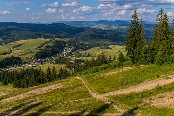 Ein Pfad, der durch einen Nadelwald zum Karpatendorf führt — Stockfoto