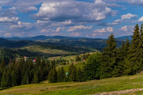 Pflanzung von Tannen am Fuße des Berges an einem sonnigen Tag in der Nähe des Dorfes. In der Ferne sieht man Aufzüge und grüne Hügel — Stockfoto