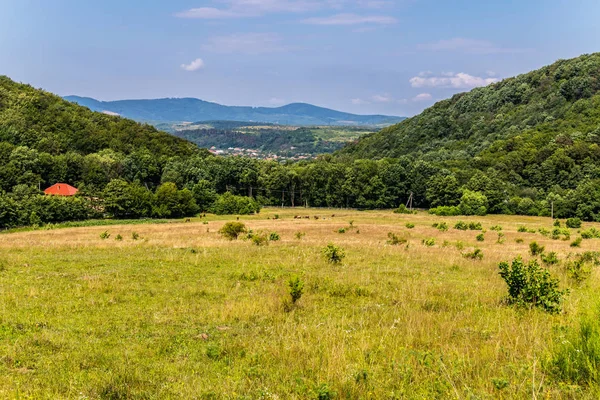 Un prado verde entre dos montañas arboladas cerca de la aldea de Transcarpathian —  Fotos de Stock