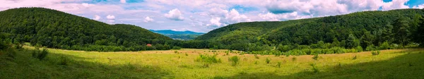 A magnificent panorama of a lush valley covered with grass and a low bush lying between high slopes with green thick trees. — Stock Photo, Image