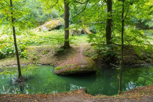 Mystiska äng i skogen med kaotiska, stora stenar strödda över mossiga träd och en ström av grönt vatten flyter mellan träden med ett stort stenblock på stranden. — Stockfoto