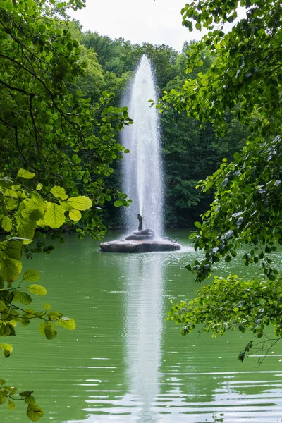 美丽的喷泉, 一股透明的水流拍打着池塘岸边生长的树木的顶端. — 图库照片