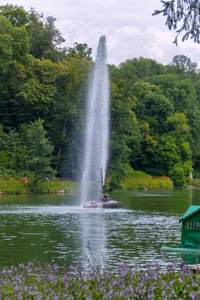 一个独特的高大喷泉从蛇口的 Sofiyivka 公园。乌曼乌克兰 — 图库照片