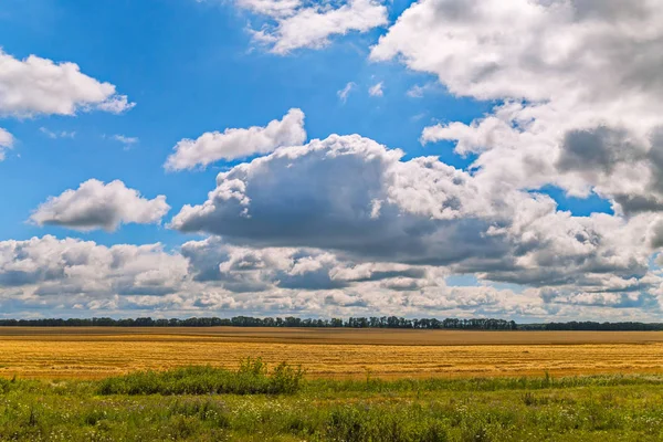 Campo en el fondo de pintorescas nubes cúmulos — Foto de Stock