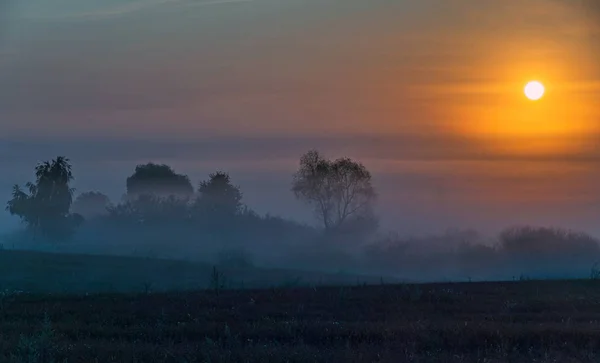 Alba colorata sul campo con alberi, avvolta nella nebbia grigia del mattino — Foto Stock