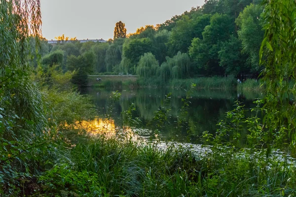 Αντανάκλαση του ένα ηλιοβασίλεμα, σε μια μικρή λίμνη με φόντο ένα καταπράσινο πάρκο ζώνη — Φωτογραφία Αρχείου