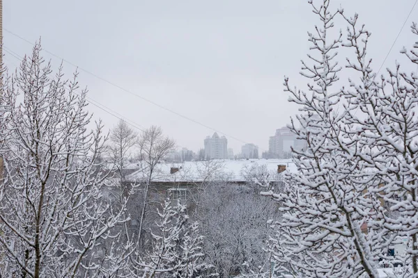 Hóval borított fák és a házak, a háttérben a tél szürke város tetők — Stock Fotó