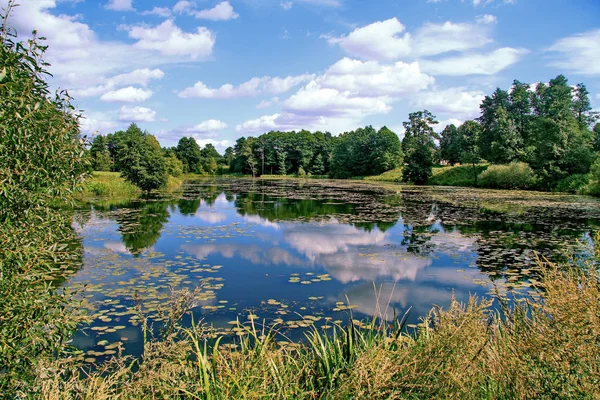 El cielo azul se refleja en el lago cristalino del bosque. Gracia para el alma —  Fotos de Stock