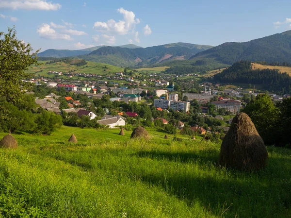 Сушена трава для домашніх тварин на тлі маленького містечка і видно далеко гори — стокове фото