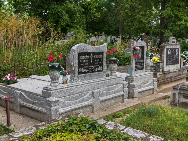 Plates with inscriptions on the graves of the dead among the flowers of bushes and trees. — Stock Photo, Image