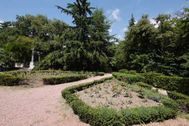 Şehir Park flowerbed geometrik şekil şimşir Bush'larda dikti. Yüksek çam ağaçları yürüyüş için yol