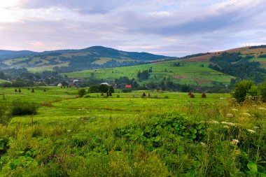 vadilerde ağaçların bulutlu gökyüzü arka plan üzerinde nadir plantings ile küçük bir köy