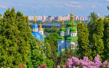 Tapınağın yeşil ve mavi başında ağaçların tepelerini görülebilir