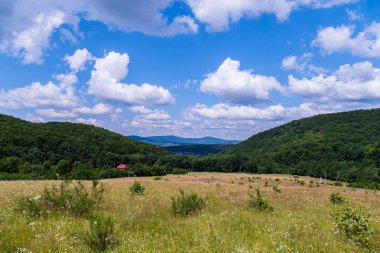 Yeşil tepeler yaz mavi gökyüzü altında uzattı. Meadows akmaya başladı