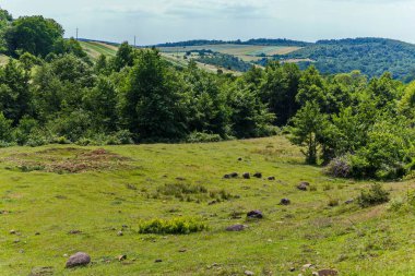 ağaçlar ve dikdörtgen formlardaki arkasında bir tepede streç alanlar ile büyümüş bir küçük dağ geçidi