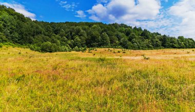 Kalın, yüksek bir tepe üzerinde kalın bir ormanın ortasında bir glade çimlere ile geniş bir mera