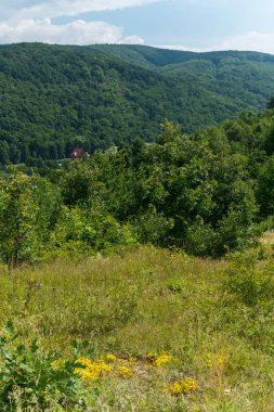 Yeşil çalılar ve ormanlık tepeleri arasında mavi gökyüzünün altında evde görülmektedir. dinlenme ve Turizm
