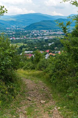 Bir patikadan aşağı köy lider. Kalın çalılıkları iki tarafında