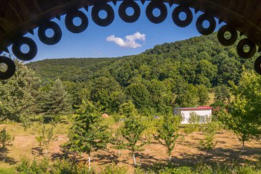 Bahçe alanı ile meyve ağaçları yeşil iğne yapraklı ve yaprak döken ağaçlar arasında dağ yamacında. güneşlik evin altından bir görünüm. dinlenme ve piknik için bir yer