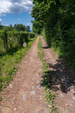 Kirli bir yolun yeşil ağaçlar ve mavi gökyüzü altında