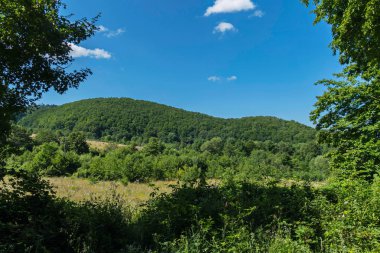 Gökyüzüne uzaktan güzel bir görünüm arasında yeşil yaprakları ve dağ yamaçlarında