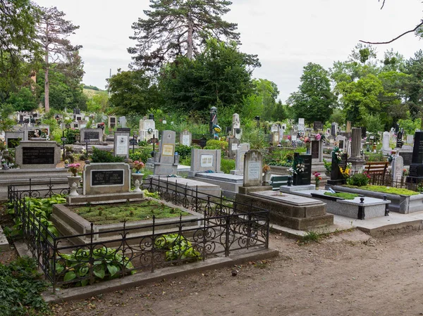 Cementerio con un gran número de monumentos en las tumbas de los muertos —  Fotos de Stock