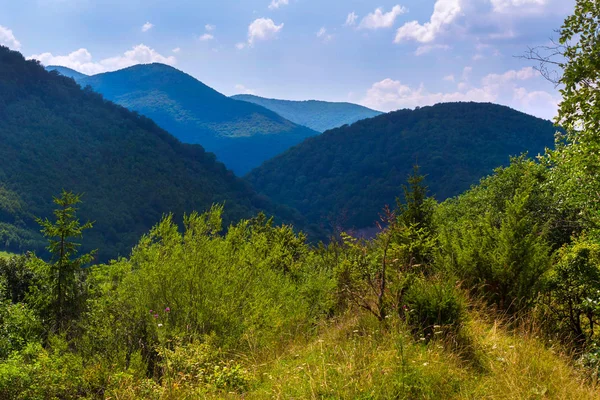 Blick von der Lichtung auf die Berge von schöner blauer Farbe — Stockfoto