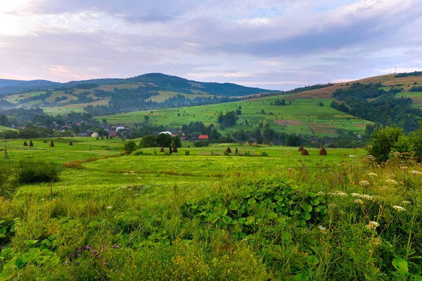 vadilerde ağaçların bulutlu gökyüzü arka plan üzerinde nadir plantings ile küçük bir köy