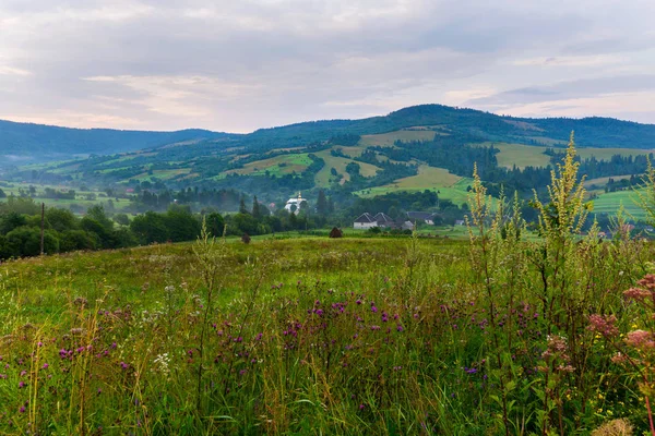 Grüne malerische Schluchten und Rasenflächen im Hintergrund von Wildblumen und dazwischen lauernde Häuser — Stockfoto