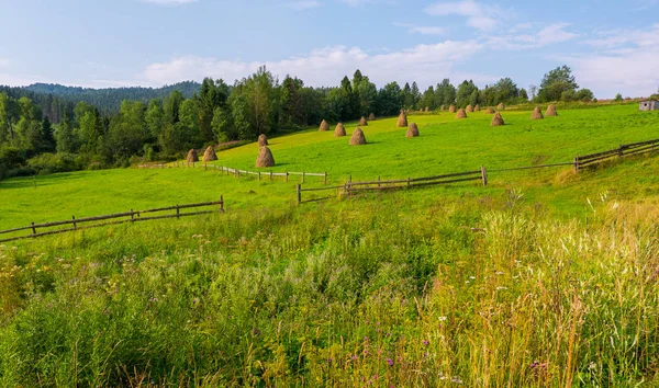 緑の牧草地の木製のフェンスで囲い、畳まれて乾燥干し草のサンドイッチ — ストック写真