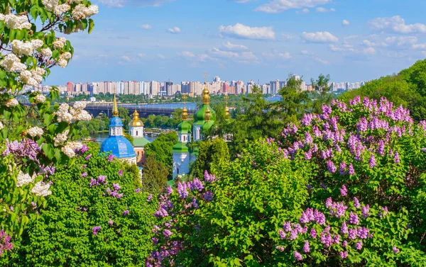 Flowering spring lilacs in the rays of the bright sun against the background of the golden domes of churches and the bridge that connects the two banks — Stock Photo, Image