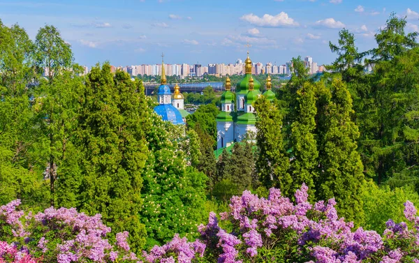 A chic landscape above the bushes of blossoming lilacs on the glistening dome of the church and the high houses of the city quarters standing on the river bank. — Stock Photo, Image