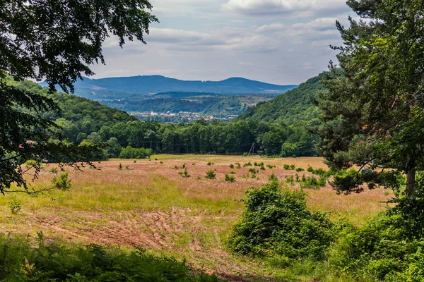 Zertrampelte Wege auf einer Weide auf einer Wiese inmitten eines dichten Waldes in den Hügeln — Stockfoto
