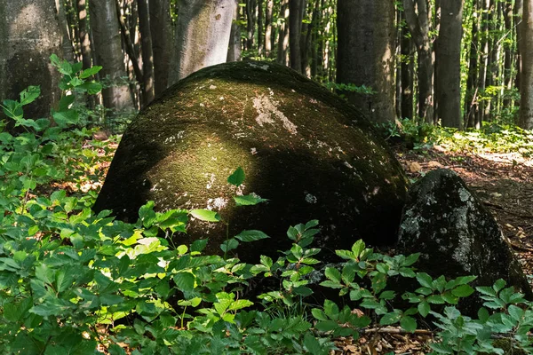 森林中一座神秘的石头, 覆盖着绿树叶旁的苔藓。 — 图库照片