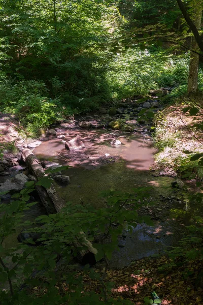 Ein schmutziger, flacher Waldfluss mit Baumstämmen und Geröll im Schatten der Bäume — Stockfoto