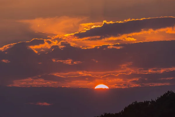 A magnificent landscape of the evening sky with a red disc of the sun sitting over a cloud and overlooking the tops of trees. — Stock Photo, Image