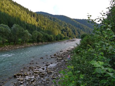 Çalılıkları çalılar ve ağaçlar görkemli dağ eteklerinde güzel ve çarpıcı nehirde