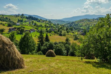 İki kuru, sarı, güzel kokulu saman yığını yeşil çimenlerin üzerinde durmak