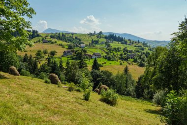 dağın üzerinde mavi gökyüzünün altında alanlarla haystacks içinde toplanan bakımlı, yeşil ağaçlar, kırsal konutlarında vardır