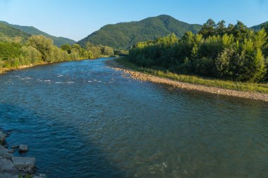 İleri hızlı su nehir taşıyan. Yeşil dağ kalın bir orman önünde sahile arasında geçerli.