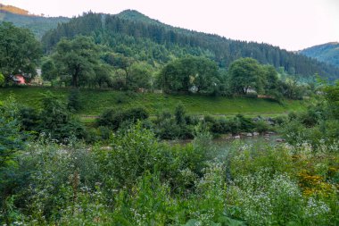 Hızlı dağ nehir iki banka arasında birbirine bölme