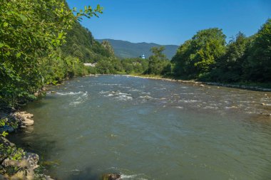 hızlı dağ nehir rapids ve orman kıyıları ile